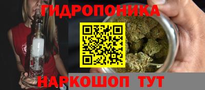 наркотики Камышлов
