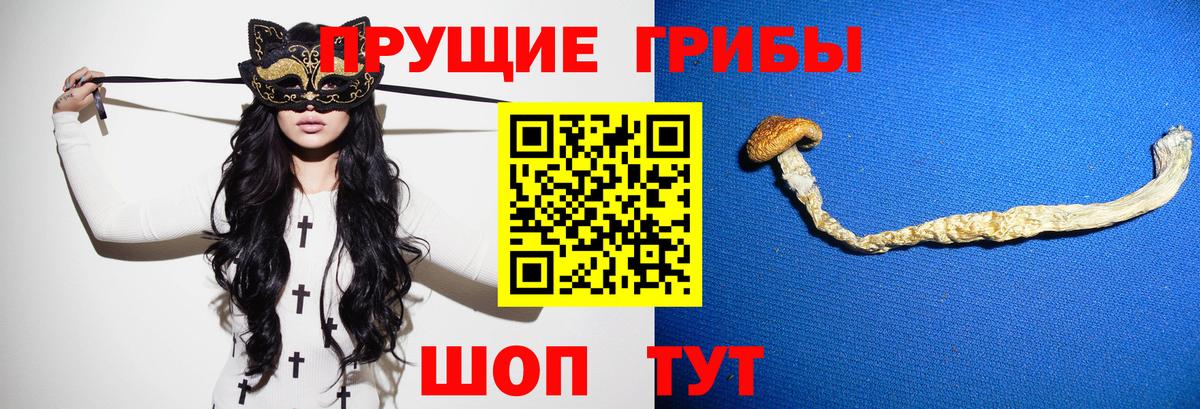 Галлюциногенные грибы Cubensis Электрогорск