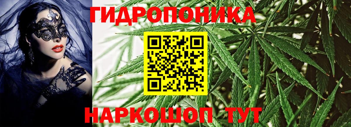 Канабис White Widow Электрогорск